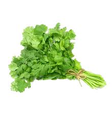 Culantro