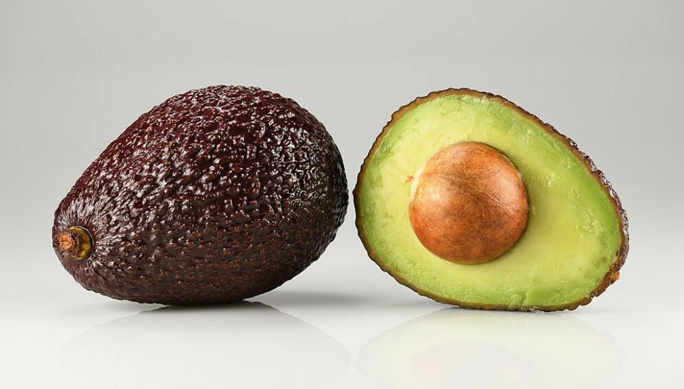 palta